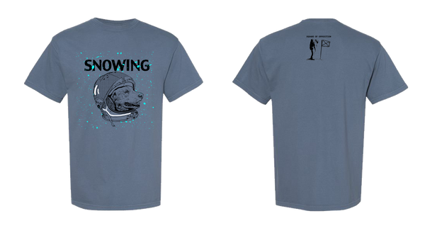 Snowing - Dogstronaut Tee